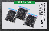 【訳あり】漁師直送！宍道湖産ヤマトシジミ・Mサイズ冷凍3.0kg