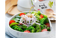  【鎌田醤油】 サラダ醤油200ml×10ヶ入【 サラダ醤油 醤油 ドレッシング 人気 おすすめ だし醤油 出汁醤油 香川県 坂出市】