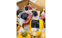 ジューシーパプリカ大玉セット&nbsp;(約2～2.5kg)