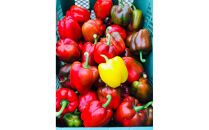 ジューシーパプリカ大玉セット&nbsp;(約2～2.5kg)