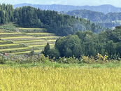 【無洗米】【令和７年産新米予約】【6か月定期便】10月発送開始《食味鑑定士厳選》日本棚田百選・十日町（魚沼）産こしひかり&nbsp;10kg全6回