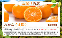 みかん&nbsp;うま採り&nbsp;箱込約&nbsp;1kg（内容量0.9kg）&nbsp;光センサー選別&nbsp;みかんの会厳選&nbsp;サイズミックス&nbsp;和歌山県産&nbsp;産地直送&nbsp;【みかんの会】［2025年11月中旬より順次出荷予定］