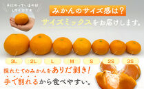 みかん&nbsp;うま採り&nbsp;箱込約&nbsp;2.5kg（内容量2.3kg）&nbsp;光センサー選別&nbsp;みかんの会厳選&nbsp;サイズミックス&nbsp;和歌山県産&nbsp;産地直送&nbsp;【みかんの会】［2025年11月中旬より順次出荷予定］