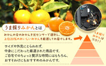 みかん&nbsp;うま採り&nbsp;箱込約&nbsp;7.5kg（内容量6.8kg）&nbsp;光センサー選別&nbsp;みかんの会厳選&nbsp;サイズミックス&nbsp;和歌山県産&nbsp;産地直送&nbsp;【みかんの会】［2025年11月中旬より順次出荷予定］