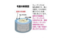 医薬部外品&nbsp;育毛・発毛促進剤　ドライドライド　QZ-3D　１２０ｍＬ