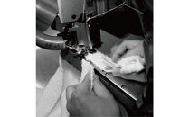 【ひだまり&nbsp;チョモランマ】　婦人長袖丸首インナー【LLサイズ】