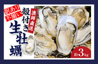 ★先行予約★《訳あり・不揃い》殻付き生牡蠣　3kg 【漁師直送!】冷蔵配送