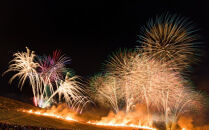 若草山焼き行事&nbsp;若草山麓ゲート内&nbsp;観覧招待券（１名分）