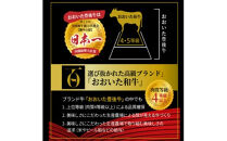 肉屋からお届け！黒毛和牛のタレ漬け&nbsp;1kg_2598R