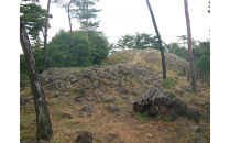 文化財専門員と行く！石清尾山古墳群（峰山地区）ガイド見学ツアー