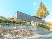 招き猫絵付け体験（入館券付き）