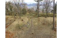 文化財専門員と行く！勝賀城ガイド見学ツアー