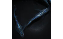 メダカ(松井ヒレ長サファイア)　1ペア&nbsp;メダカ屋えん&nbsp;横浜市