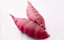 石川県産の人気野菜　贅沢詰め合わせ（夏秋）