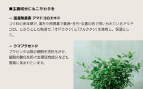 【sunao】京の拘りスキンケア&nbsp;リバースジェル&nbsp;75g｜京都&nbsp;自然素材&nbsp;オールインワン&nbsp;スキンケア用品&nbsp;人気&nbsp;［&nbsp;うるおい補給&nbsp;高濃度美容液&nbsp;人気&nbsp;おすすめ&nbsp;保湿&nbsp;洗顔後のお手入れを全てこなす&nbsp;お取り寄せ&nbsp;通販&nbsp;送料無料&nbsp;ふるさと納税&nbsp;］