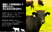 博多和牛ロースステーキ400g