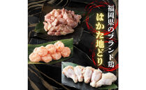 【福岡グルメ】はかた地どり使用博多水炊きセット３人～４人前