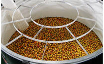 白鶴 梅酒原酒 720ml瓶 x 1本