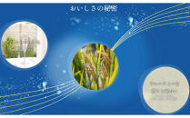 【宝酒造】松竹梅白壁蔵&nbsp;澪(みお)&nbsp;&&nbsp;澪&nbsp;CLEAR&nbsp;飲み比べセット300mlx各6本(合計12本)