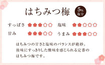 訳あり&nbsp;つぶれ&nbsp;梅干し&nbsp;合計700g&nbsp;（350g×2パック）&nbsp;はちみつ&nbsp;塩分約5％