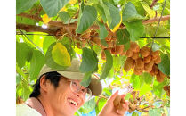 さぬきキウイっこ　約2kg