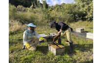『高尾農園のはちみつ畑』夏の百花蜜&nbsp;180g×2本