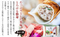 【琉みんみん】沖縄県アグー餃子　4パック&nbsp;　48個入り