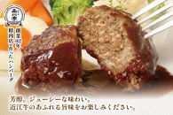 近江牛ハンバーグ詰合わせ 5個 品川亭