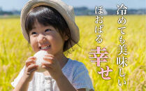 令和7年産&nbsp;新米&nbsp;弥八郎さんのお米&nbsp;鹿児島県産&nbsp;なつほのか&nbsp;精米&nbsp;5kg