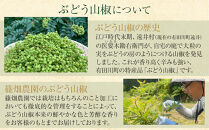 紀州ぶどう山椒【粒】 5袋  (合計40g) 篠畑農園