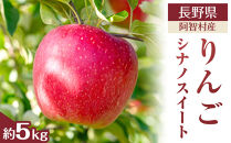 【令和7年10月中旬～順次発送】南信州阿智村　りんご（シナノスイート）約5kg｜  果物 フルーツ 林檎 リンゴ 信州 長野