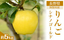 【令和7年11月上旬～順次発送】南信州阿智村　りんご（シナノゴールド）約5kg｜  果物 フルーツ 林檎 リンゴ 信州 長野