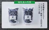 漁師直送！宍道湖産ヤマトシジミ・希少なLLサイズ・冷凍2kg