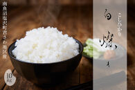 【令和7年産】南魚沼君沢産こしひかり&nbsp;白燦々10kg（BL品種）