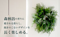 677.おおきなグリーンリース――季節限定