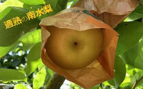 【令和7年10月上旬～順次発送】山の中の小さな果樹園『&nbsp;適熟の南水梨&nbsp;』&nbsp;5kg（8～16玉）