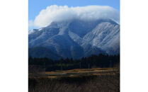 令和7年産 山崎農園こしひかり精米 5kg【新米 米 お米 こめ 白米 コシヒカリ ご飯 ごはん 白ごはん 白ご飯 鳥取県 北栄町 おすすめ 人気 2025年産 令和7年 厳選 国産 送料無料】