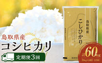 【定期便全3回】【令和7年産】【食味鑑定士厳選】&nbsp;鳥取県産&nbsp;コシヒカリ20kg&nbsp;(5kg×4袋)&nbsp;合計&nbsp;60kg【定期便&nbsp;&nbsp;米&nbsp;お米&nbsp;こめ&nbsp;白米&nbsp;こしひかり&nbsp;ご飯&nbsp;ごはん&nbsp;白ごはん&nbsp;白ご飯&nbsp;鳥取県&nbsp;北栄町&nbsp;おすすめ&nbsp;人気&nbsp;2025年産&nbsp;令和7年&nbsp;厳選&nbsp;セット&nbsp;詰合せ&nbsp;国産&nbsp;送料無料】