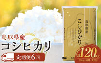 【定期便全6回】【令和7年産】【食味鑑定士厳選】&nbsp;鳥取県産&nbsp;コシヒカリ20kg&nbsp;(5kg×4袋)&nbsp;合計&nbsp;120kg【定期便&nbsp;&nbsp;米&nbsp;お米&nbsp;こめ&nbsp;白米&nbsp;こしひかり&nbsp;ご飯&nbsp;ごはん&nbsp;白ごはん&nbsp;白ご飯&nbsp;鳥取県&nbsp;北栄町&nbsp;おすすめ&nbsp;人気&nbsp;2025年産&nbsp;令和7年&nbsp;厳選&nbsp;セット&nbsp;詰合せ&nbsp;国産&nbsp;送料無料】