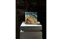 Cube　“自然への想いから生まれた、唯一無二のインテリアアート”