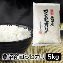 お米マイスター厳選！魚沼産コシヒカリ５kg×隔月6ヶ月　定期便