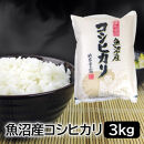 【令和7年産】お米マイスター厳選！魚沼産コシヒカリ　3kg