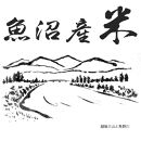 【令和7年産】お米マイスター厳選！魚沼産コシヒカリ　3kg