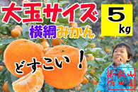 大玉有田みかん 5kg 2L・3Lサイズ