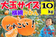 大玉有田みかん 10kg 2L・3Lサイズ