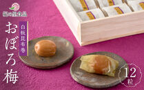 白板昆布巻おぼろ梅&nbsp;12粒&nbsp;［Kn24］