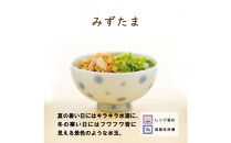 ナルミ クラウンキッズ めしわん(みずたま小) 160cc 40862-3698