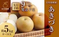 【2026年発送分先行予約】あきづき&nbsp;約５kg（8～14玉）9月下旬～順次発送【吉川果樹園】