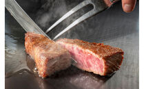 鳥取和牛サーロインステーキ　約200g×3　 計約600g