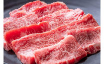 鳥取和牛カルビ　約500g